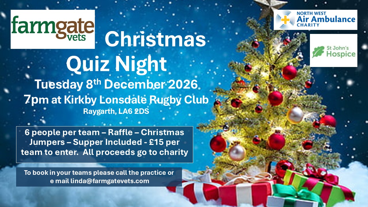 Charity Christmas Quiz Night